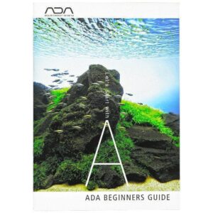 ADA Let's start with A