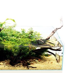 Alternative view of נאו גלאס DOOA TERRA 60X30X23