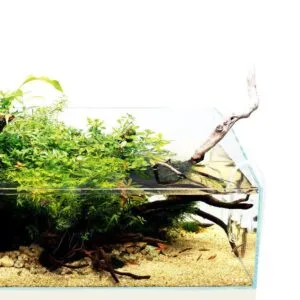 Alternative view of נאו גלאס DOOA TERRA 60X30X23