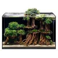 Alternative view of אקווריום עם מערכת סינון אחורית UNS AIO 60A