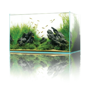 Alternative view of סלע סקייפ מוכן UNS Strata Type 1&2