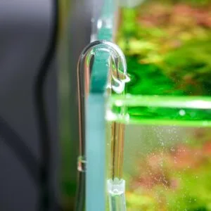 Alternative view of קליפס דיפיוזר M עד 8 מ"מ, ארבע יחידות CHIHIROS