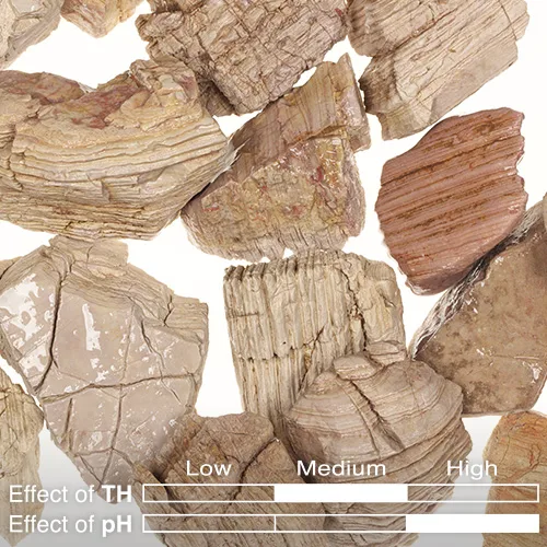 ⁦סלעי נאנו ADA KUMU Buff Layer Stone ST-07⁩ – תמונה ⁦3⁩