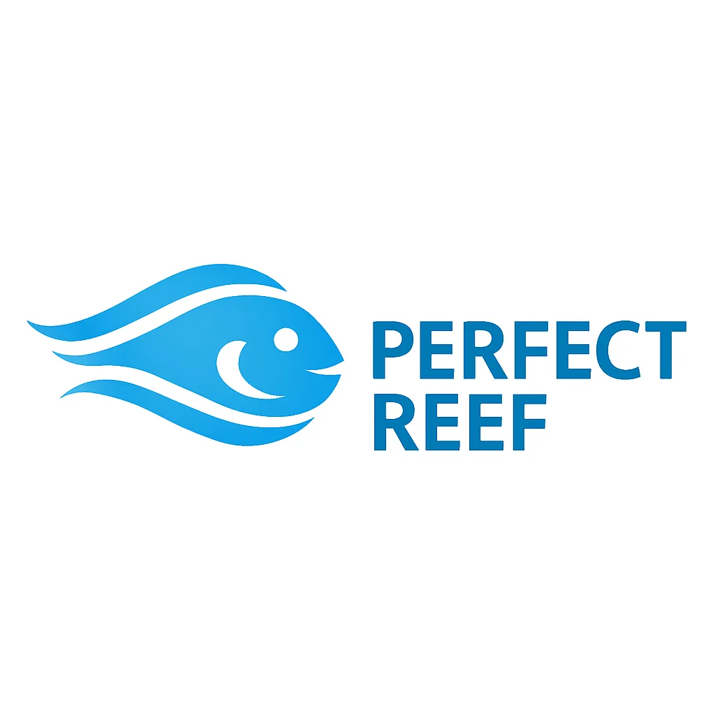פרפקט ריף
