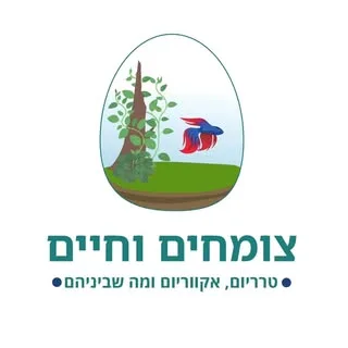 צומחים וחיים