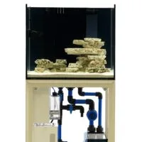 Alternative view of 1 קילו סלעי מדף לריף UNS REEF SHELF ROCK