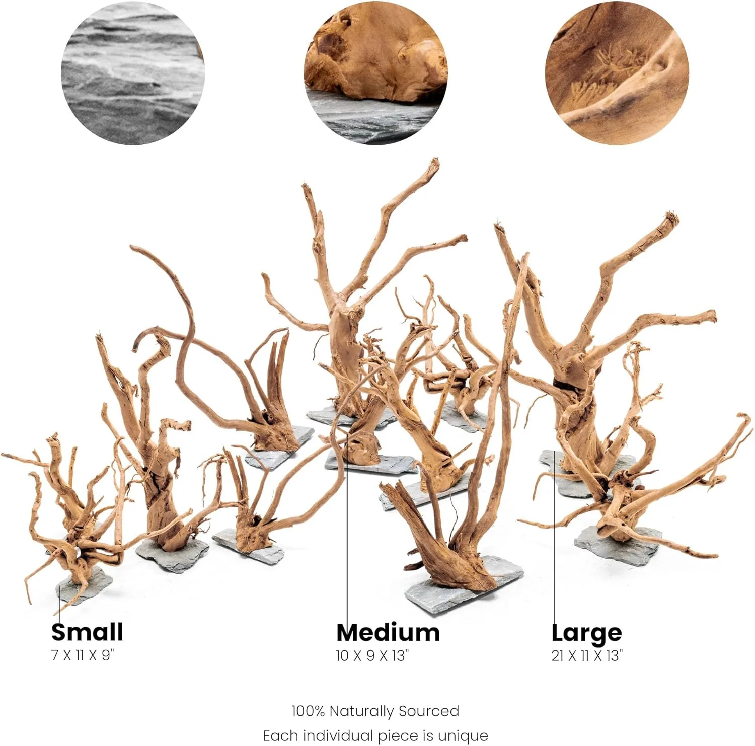 ⁦גזע עץ UNS SPIDERWOOD ON SLATE S⁩ – תמונה ⁦3⁩