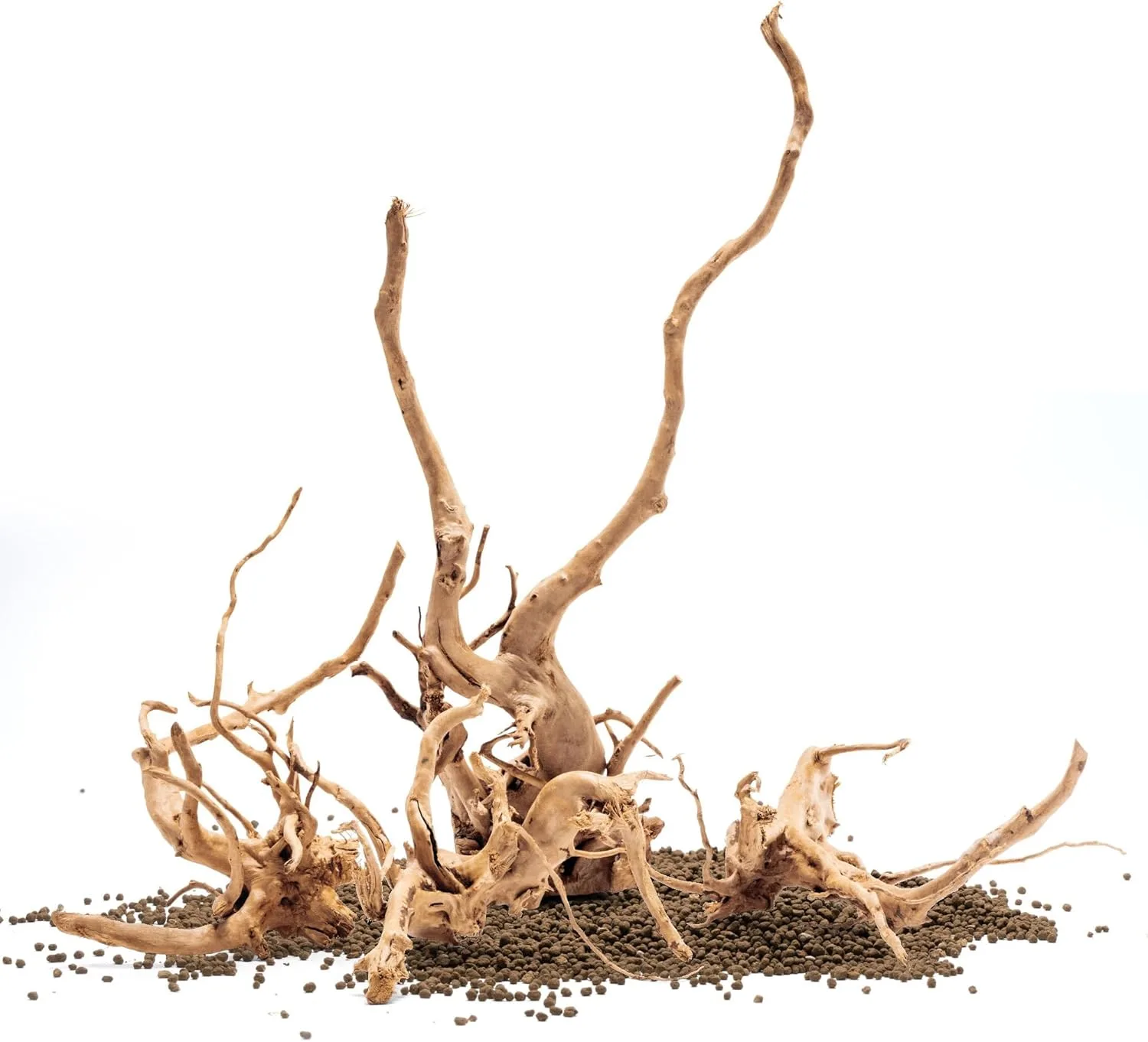 ⁦גזע 30-40 ס"מ UNS SPIDER WOOD M⁩ – תמונה ⁦2⁩