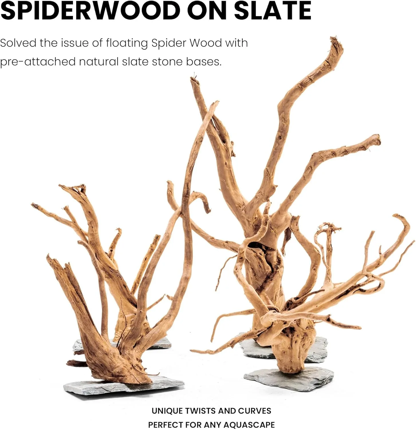 ⁦גזע עץ UNS SPIDERWOOD ON SLATE S⁩ – תמונה ⁦4⁩