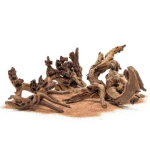 ⁦גזע 20-30 ס"מ UNS AMAZON WOOD S⁩ – תמונה ⁦2⁩