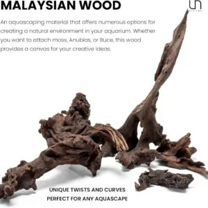 גזע 10-20 ס"מ UNS MALAYSIAN WOOD XS