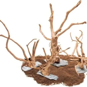 גזע עץ UNS SPIDERWOOD ON SLATE S