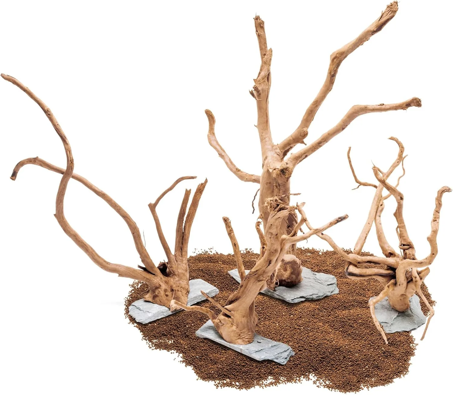 ⁦גזע עץ UNS SPIDERWOOD ON SLATE S⁩ – תמונה ⁦2⁩