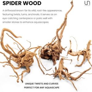 גזע 20-30 ס"מ UNS SPIDER WOOD S