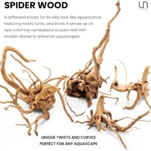 גזע 30-40 ס"מ UNS SPIDER WOOD M