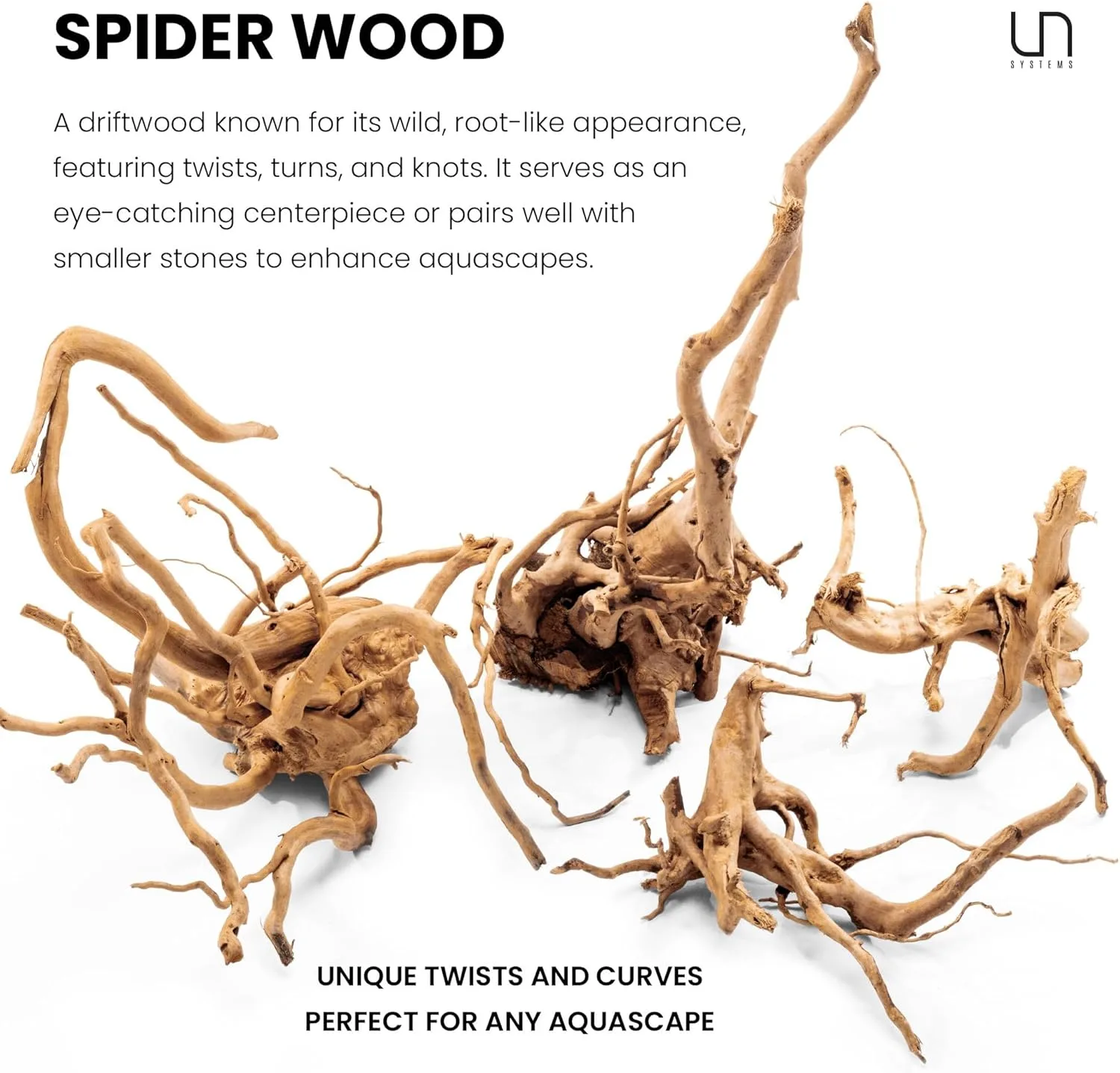 ⁦גזע 30-40 ס"מ UNS SPIDER WOOD M⁩ – תמונה ⁦4⁩