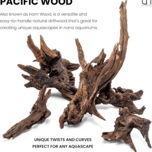 גזע 50-60 ס"מ UNS PACIFIC WOOD XL