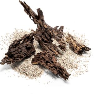 Alternative view of גזע 20-30 ס"מ UNS DRAGON WOOD S