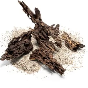 Alternative view of גזע 20-30 ס"מ UNS DRAGON WOOD S