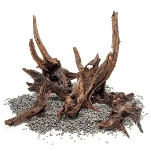 גזע 30-40 ס"מ UNS PACIFIC WOOD M