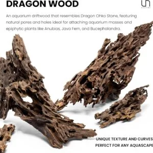 גזע 20-30 ס"מ UNS DRAGON WOOD S 7 גזע 20-30 ס"מ UNS DRAGON WOOD S