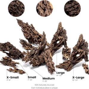 גזע 10-20 ס"מ UNS DRAGON WOOD XS