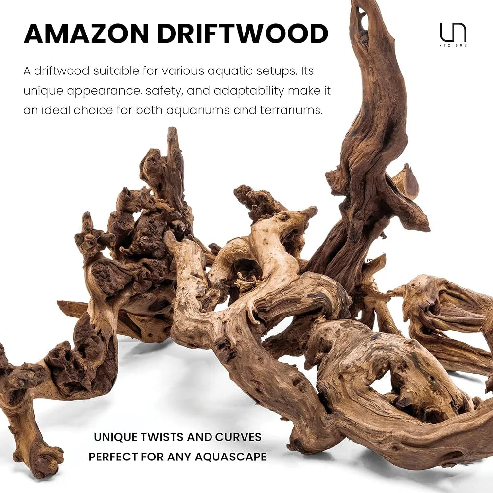 ⁦גזע 20-30 ס"מ UNS AMAZON WOOD S⁩ – תמונה ⁦4⁩