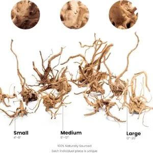 גזע 30-40 ס"מ UNS SPIDER WOOD M