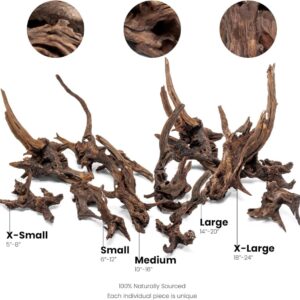 גזע 50-60 ס"מ UNS PACIFIC WOOD XL