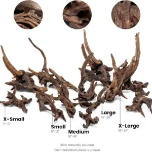 גזע 30-40 ס"מ UNS PACIFIC WOOD M