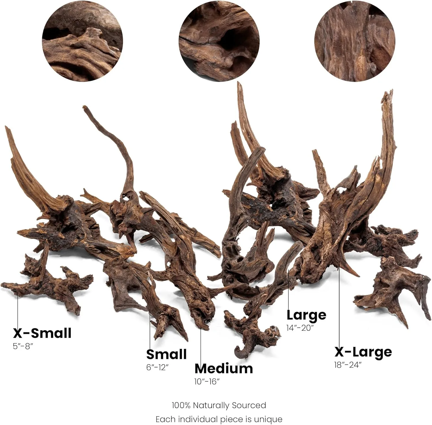 ⁦גזע 30-40 ס"מ UNS PACIFIC WOOD M⁩ – תמונה ⁦3⁩