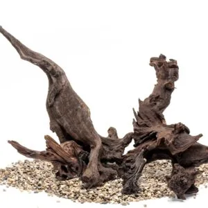 גזע 10-20 ס"מ UNS MALAYSIAN WOOD XS