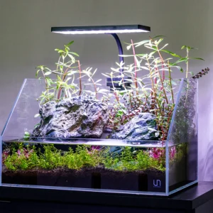 גוף תאורה משתלם AQUAWORX EOS N5 (13X7) RGB