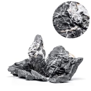 1 קילו סלע UNS BLUE SEIRYU