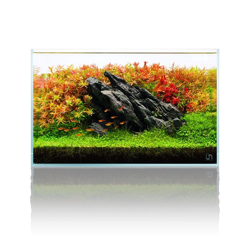 עמוד ראשי 7 מיכלים