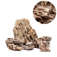 1 קילו סלע UNS DRAGON