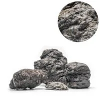 1 קילו סלע UNS RHINO STONE