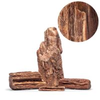 1 קילו סלע UNS RED PETRIFIED WOOD