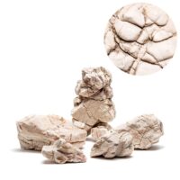 1 קילו UNS WHITE ELEPHANT