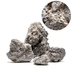 1 קילו סלע UNS WOLF STONE