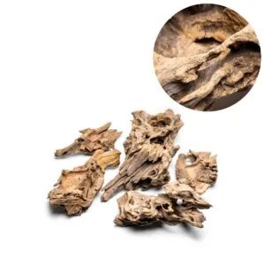 גזע 20-30 ס"מ UNS AMAZON WOOD S