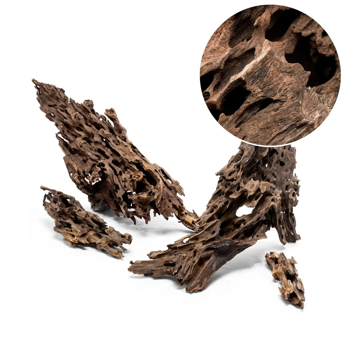 גזע 20-30 ס"מ UNS DRAGON WOOD S 1 גזע 20-30 ס"מ UNS DRAGON WOOD S