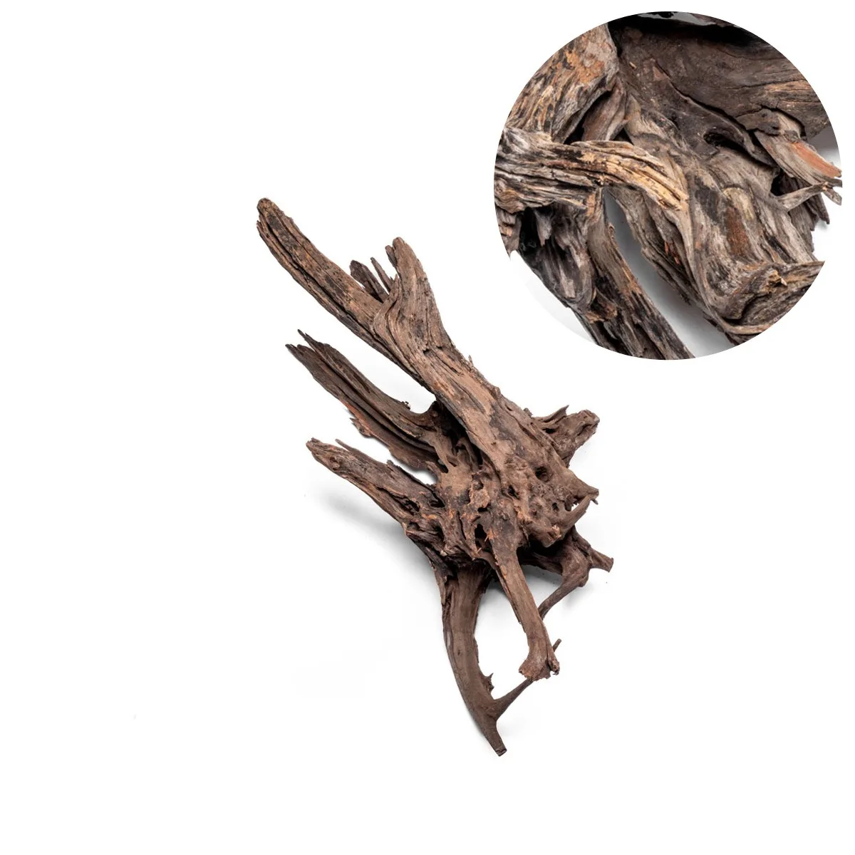 גזע 10-20 ס"מ UNS MALAYSIAN WOOD XS