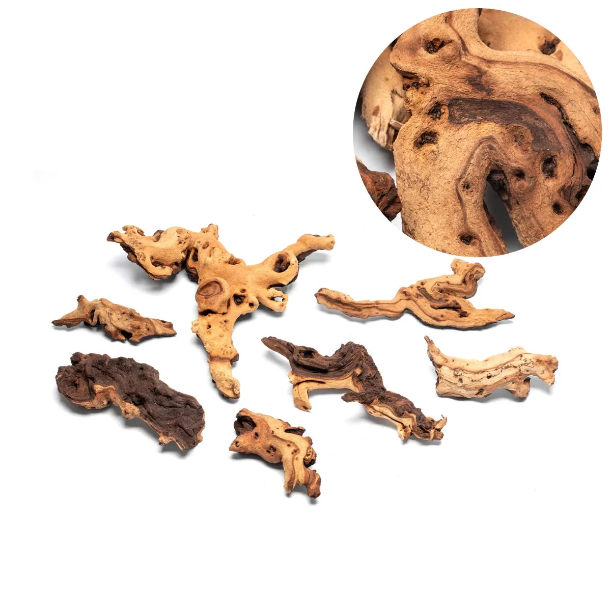 גזע 20-30 ס"מ UNS MOPANI WOOD S