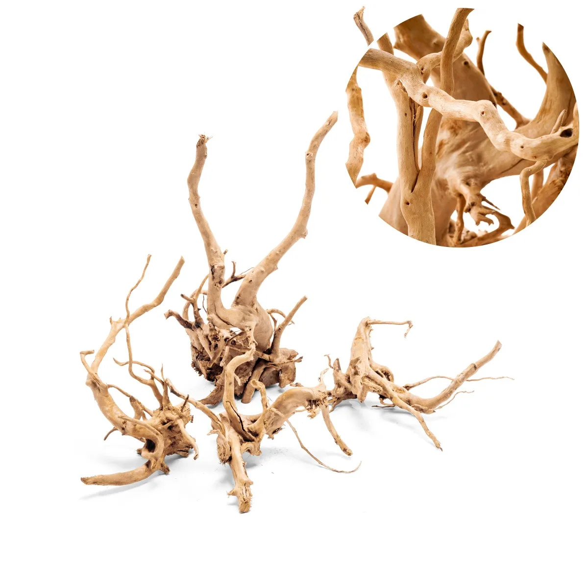 גזע 30-40 ס"מ UNS SPIDER WOOD M