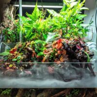 Alternative view of פוגר UNS