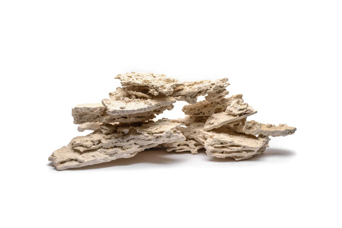 1 קילו סלעי מדף לריף UNS REEF SHELF ROCK 1 1 קילו סלעי מדף לריף UNS REEF SHELF ROCK