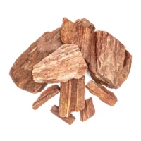 Alternative view of 1 קילו סלע UNS RED PETRIFIED WOOD