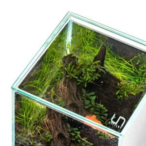 מכסה לאקווריום (UNS 25 FLUSH (25X25 5 מכסה לאקווריום (UNS 25 FLUSH (25X25