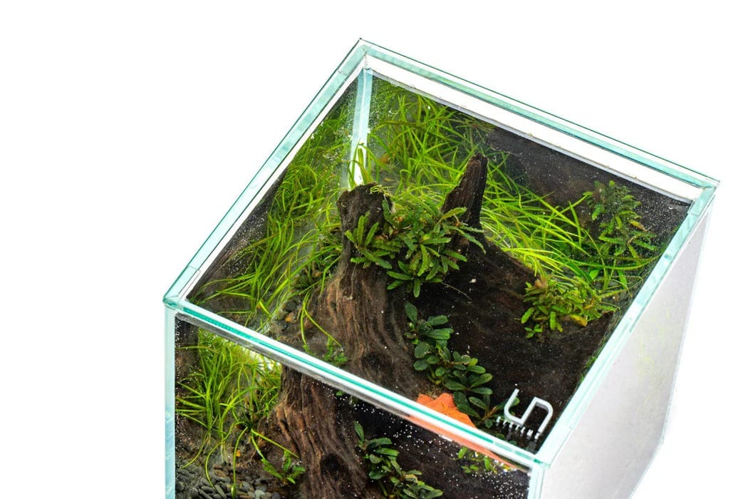 מכסה לאקווריום (UNS 25 FLUSH (25X25 3 מכסה לאקווריום (UNS 25 FLUSH (25X25 – תמונה 3